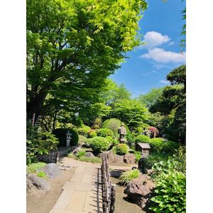 霊園
