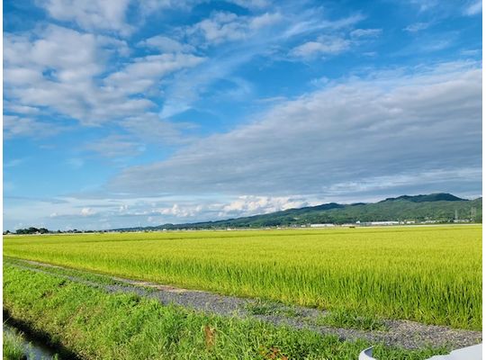 田舎