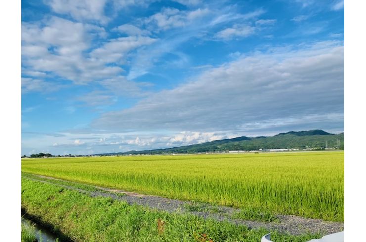 田舎
