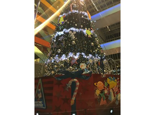 クリスマスツリー