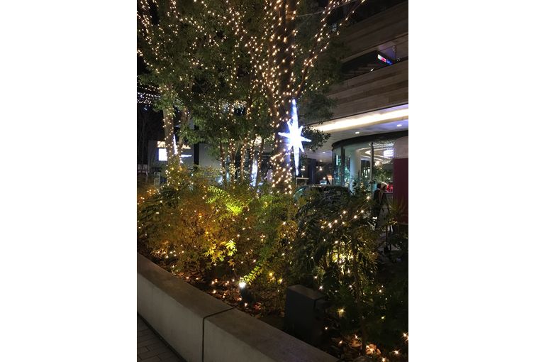 イルミネーション